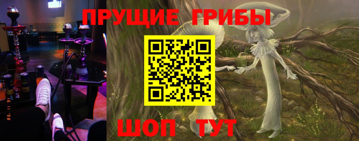 Галлюциногенные грибы Psilocybe  Вход с VPN  Псилоцибиновые грибы MAGIC MUSHROOMS  Краснокаменск 